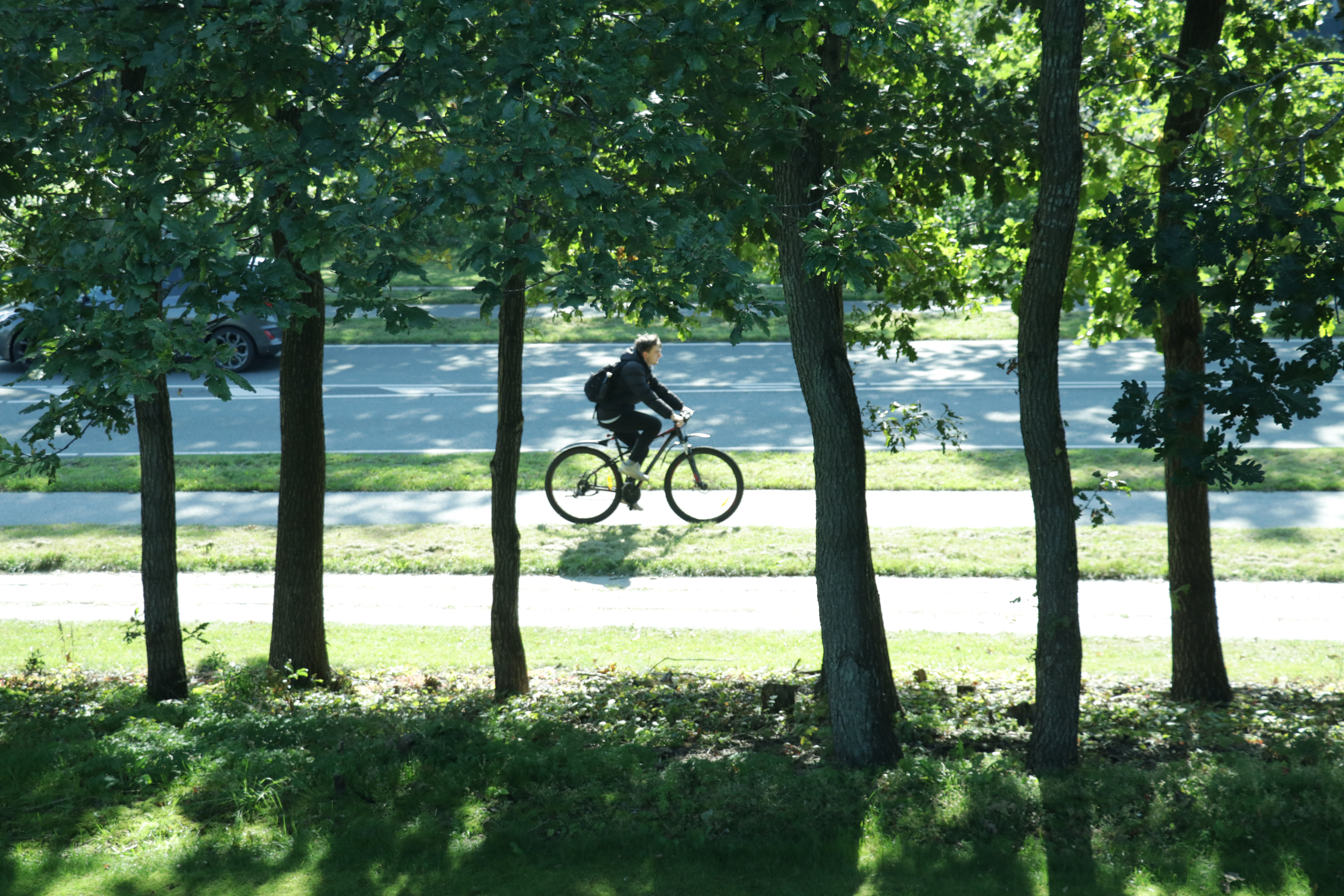 Cycle