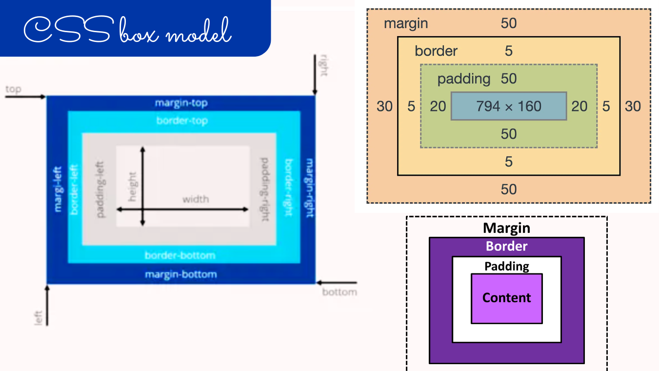 Css Box Model